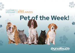 City of Redlands Pet of the Week: an image of dogs and paw prints.