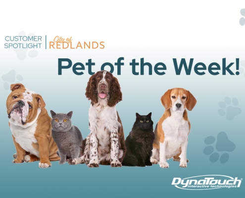 City of Redlands Pet of the Week: an image of dogs and paw prints.